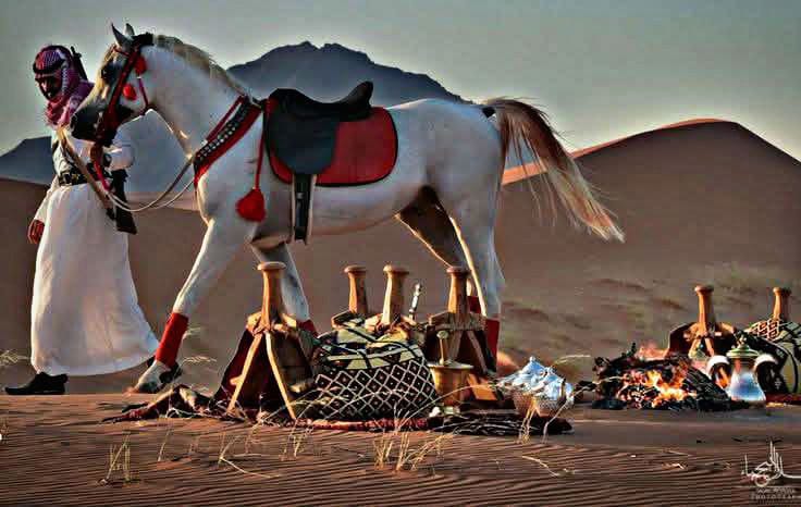 ��� �����_LD8i0